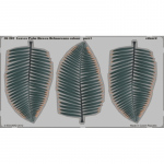 Leaves Palm Howea Belmoreana (colour) - 1/35