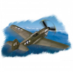 P-40N Warhawk - Hobby Boss 1/72