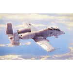 N/AW A-10A Thunderbolt II - Hobby Boss 1/48