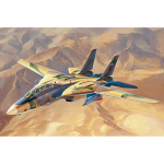 F-14A Tomcat Persian Cat IRIAF - Hobby Boss 1/48