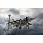 1:72 Harrier GR.3 Falklands W