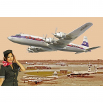 Douglas DC-7C (Japan Air Lines) - Roden 1/144