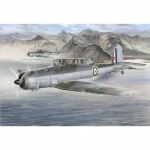 Blackburn Skua Mk.II - Special Hobby 1/72
