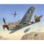 P-40F Warhawk Short Tails over Africa - Special Hobby 1/72