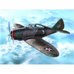 P-35 War Games and War Training - Special Hobby 1/72