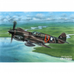 P-40E Warhawk Claws and Teeth