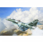 PAF J-10CE Multi-Role Fighter & IAF Rafale 2in1 -...
