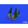 P-51D wheels block tread 2 1/48 for EDUARD
