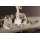 USS Oscar Austin DDG-79 - I Love Kit 1/200