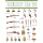 British Infantry Weapons & Equipment
