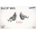Hs 129 BOX (Hs 129B-2 + Hs 129B-3 + Panther A + 2 Figuren) - Takom 1/48