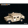 1/35 US Army Humvee (for all)