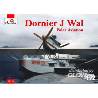 Dornier J Wal, Polar aviation