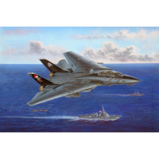 F-14 B Tomcat - Hobby Boss 1/48