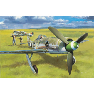 Focke Wulf Fw 190 D-13 - Hobby Boss 1/48