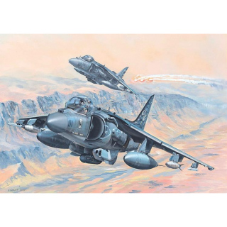 AV-8B Harrier II - Hobby Boss 1/18