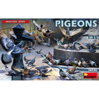 Pigeons