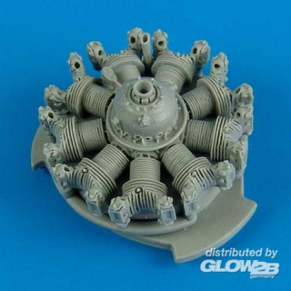 T-28 Trojan engine for Roden