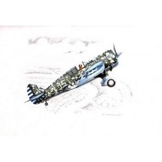 Model H-75M/N/O Hawk Chinese, Thai & Argentinean Hawk - Special Hobby 1/32