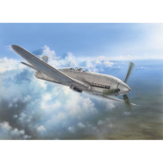 Heinkel He 100D Soviet & Japanese Test Plane - Special Hobby 1/32