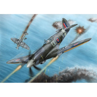 Spitfire F Mk.21 No.91 Squadron in WWII - Special Hobby 1/72