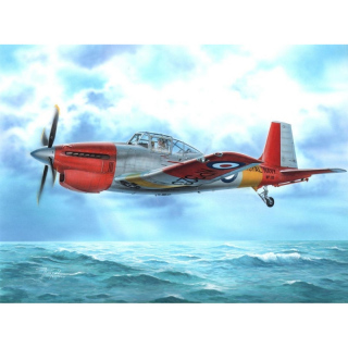 Boulton Paul Sea Balliol T.21 FAA Trainer - Special Hobby 1/72