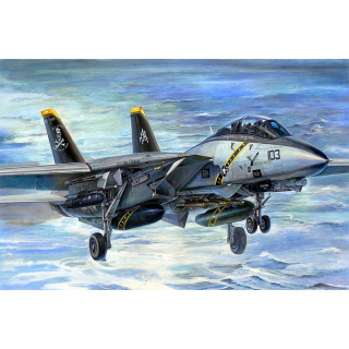 F-14B Tomcat (Bomb-Cat) - Trumpeter 1/32