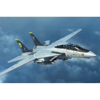 F-14D Tomcat - Trumpeter 1/144